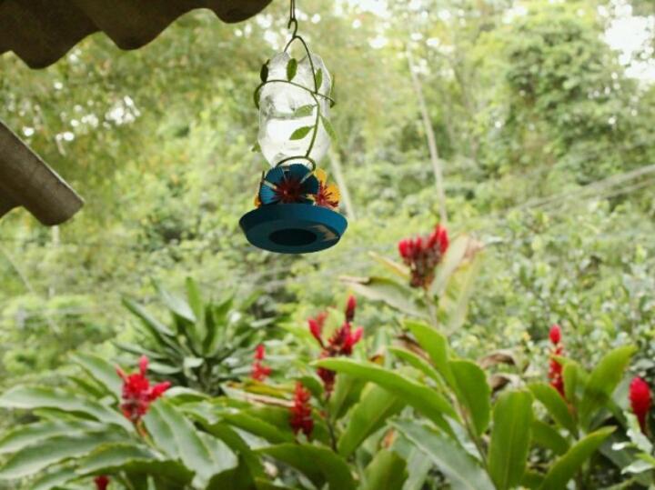 Suites Cocaia Ilhabela Extérieur photo