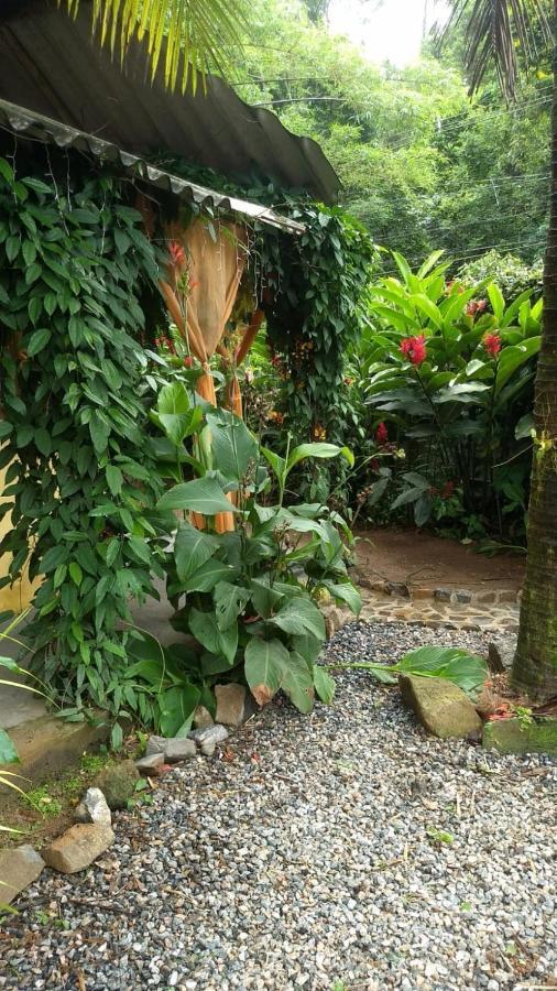 Suites Cocaia Ilhabela Extérieur photo
