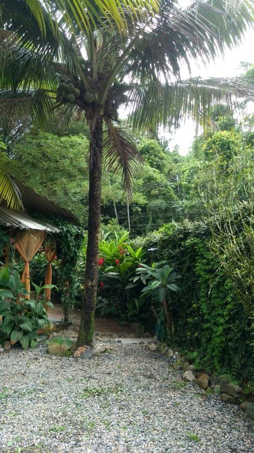 Suites Cocaia Ilhabela Extérieur photo