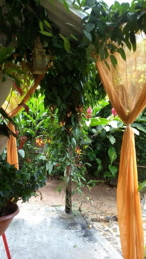 Suites Cocaia Ilhabela Extérieur photo