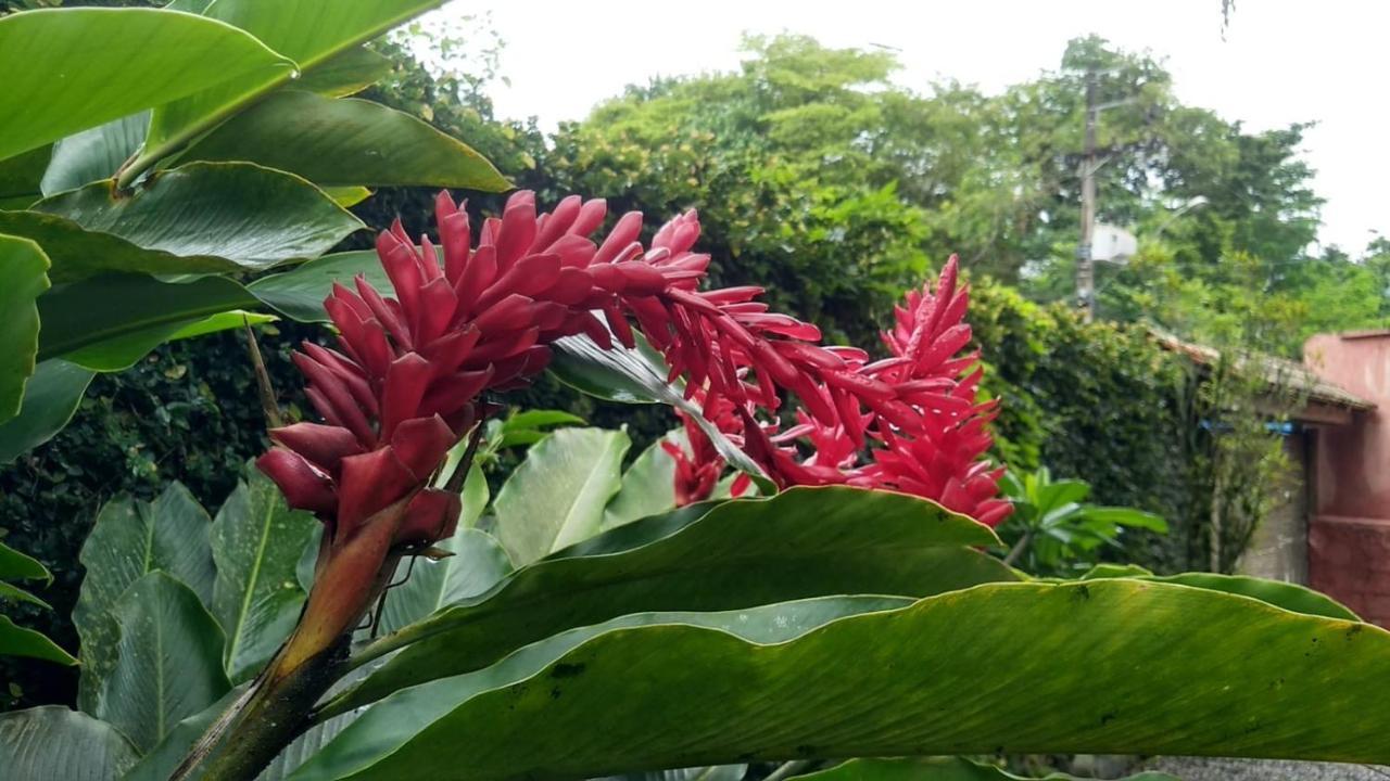 Suites Cocaia Ilhabela Extérieur photo